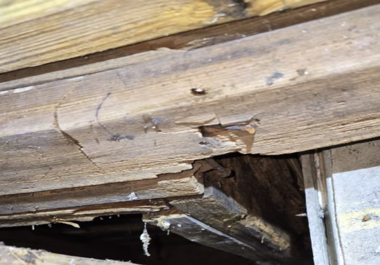 Home Foundation Repair Symptom