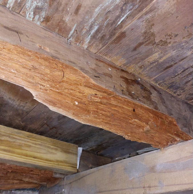 Rotted Beam