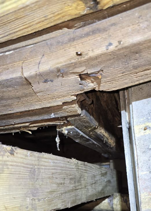 Broken Beam in Pier and Beam foundation