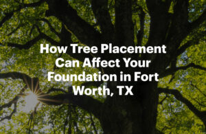 How Tree Placement Can Affect Your Foundation in Fort Worth, TX