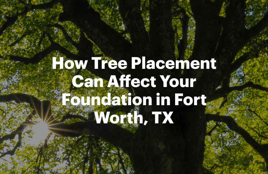 How Tree Placement Can Affect Your Foundation in Fort Worth, TX
