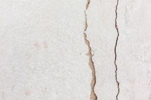 Vertical Foundation Crack