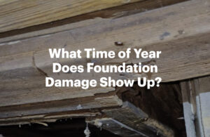 What Time of Year Does Foundation Damage Show Up? 