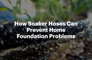 How Soaker Hoses Can Prevent Home Foundation Problems