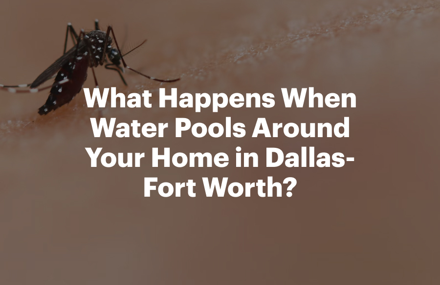 What Happens When Water Pools Around Your Home in Dallas-Fort Worth?